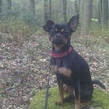 Foto van *Boots*Rip*