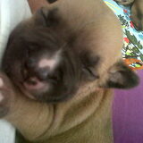 kaycha 2 weekjes