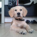 Foto van Maris & Bodhi
