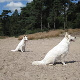 Foto van Sophie