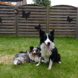 Met knappe Lizzie!