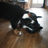 Marley en mama Yara