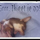 Foto van Monica