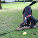 Foto van jacqueline en baco