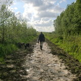 Foto van Mojuan