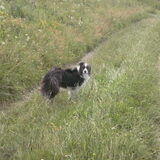 de wind blies men haren doorheen ;p