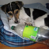 Leuk zo'n fles naar mn mand slepen..., maar wat moet ik ermee?? :-)