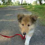Foto van Lien, Luca† en Wifi  /wi:fi:/