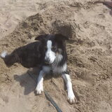 Lekker op het strand