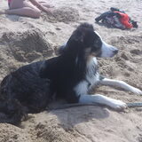 Lekker op het strand