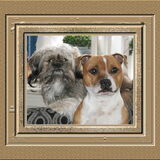 Foto van Carla & Macho