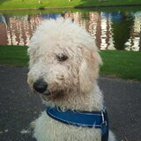6 Maanden oud