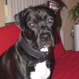 Foto van Gerry bazin van Dusty