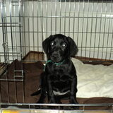 'Hi' And welcome to my 'crib'...