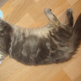 Relaxen