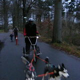de sport