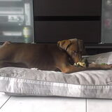 Sumo-sloper...
