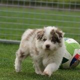 Foto van Vivian   <3    Sem