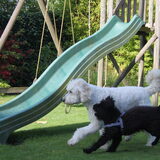 Foto van Dewi & de doodles