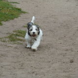 Zand, zand en nog eens zand, en ik vind het leuk !! heerlijk door…