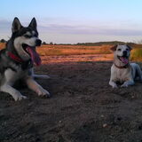 Nigan & Jacky