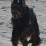 ....., (ik ben niet echt eng hoor:)....,
