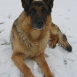 mn ouwe vriendje dax...