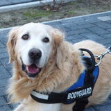 Tibo met zijn grote puppy oogjes! Om in te verdrinken