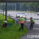vossen avonturen op de snelweg