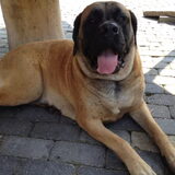 beetje warm