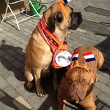 supporters
