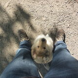 Foto van Lien, Luca† en Wifi  /wi:fi:/