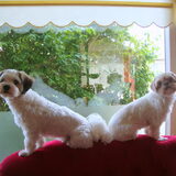 Lieve Sam en Deva