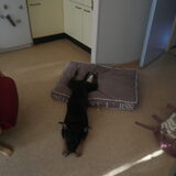 zo even relaxe :)
