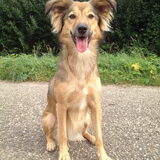 Foto van Sanne