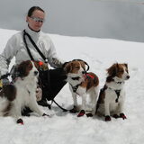 Banjer, Fleur, Zillah en San in Zwitserland, 3800 mt
