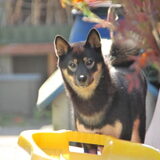 Kaylee - 29.08.2012