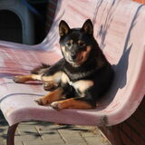 Kaylee - 04.09.2012