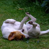 Net gewassen...jakkes!