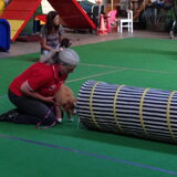 Diva met de trainster bij puppycursus
