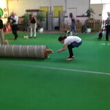 Diva in de tunnel op puppycursus
