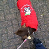 It's a raining day!!
