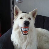 Foto van Sophie