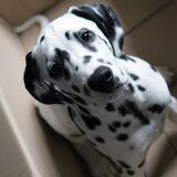 Thinking 'inside the box'
