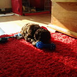 Lekker spelen