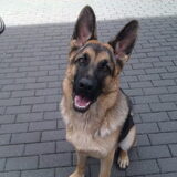 greno 7 en halve maand alweer