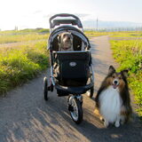 chiara in de buggy als ze moe is.