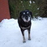 27-12-2010 Rusty