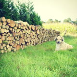 Foto van Julie & Yucca <3