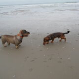 Lekker samen ff naar het strand!!